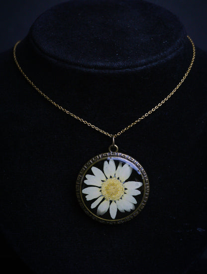 Dazzling Daisy Necklace